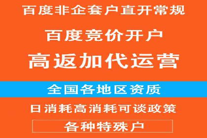 XX领域竞价广告的投放策略及效果展示
